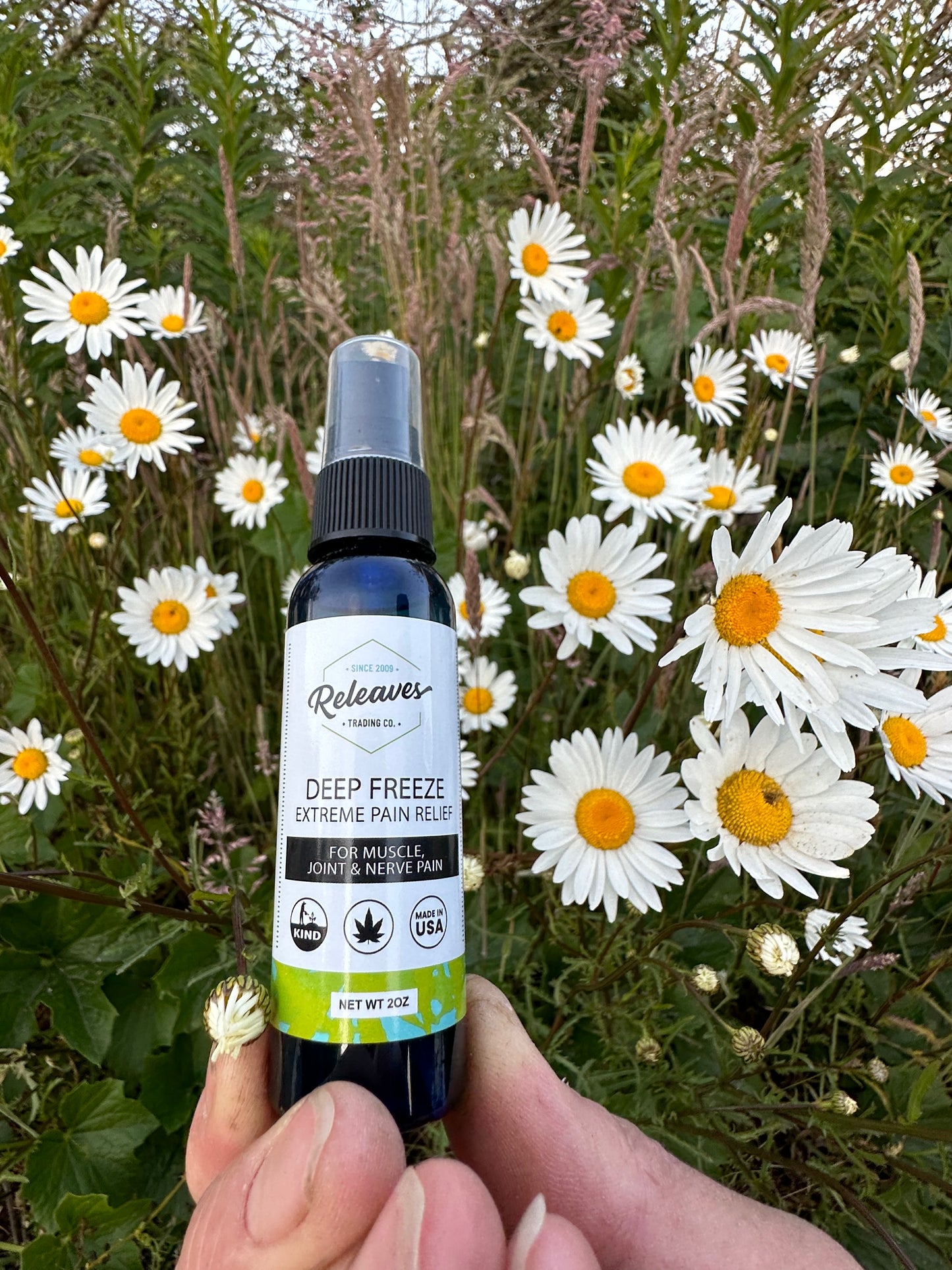 RELEAVES DEEP FREEZE PAIN SPRAY (2OZ)